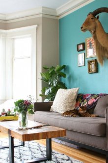 Сиво-тюркоазени стени в интериора на хола