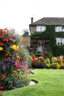 Разнообразие от цветове на сюжета