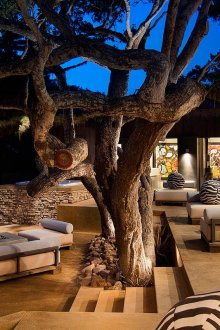 Мебели от дървета, камина и двор