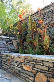 Каменна украса и растения в двора