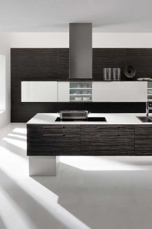 Голяма черно-бяла кухня с високи технологии
