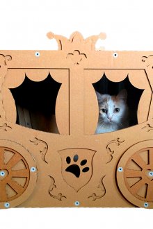 Къща за котки