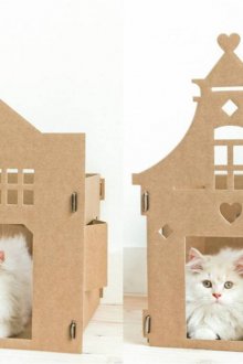 Къща за котки