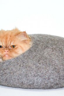 Къща за котки