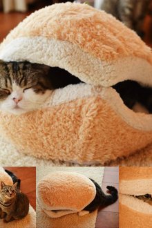 Къща за котки