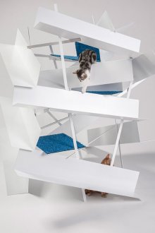 Къща за котки