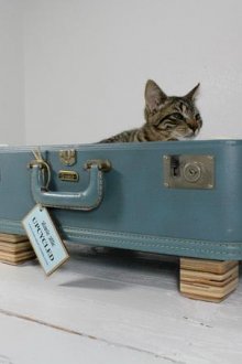 Къща за котки