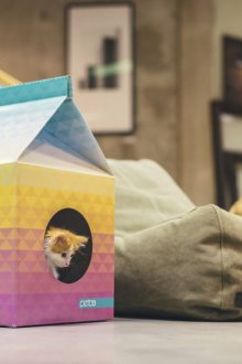 Къща за котки