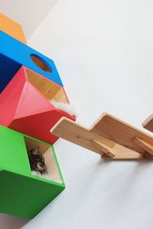 Къща за котки