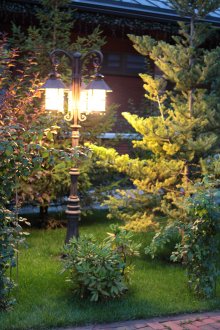 Градинска светлина