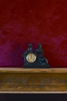 Фуксия с мазилка в интериора