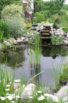 Small waterfall at the pond
