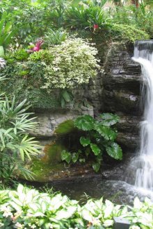 Waterfall decorated with plants