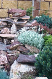 Красива скална градина в ъгъла на сайта