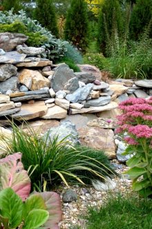 Плоски камъни в дизайн на алпинеуми