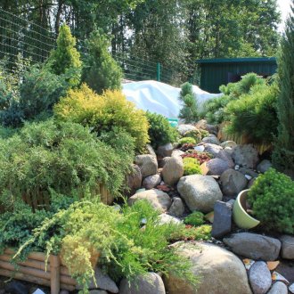 Скална градина във възход на площадката