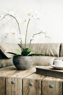 Селски мебели в светъл хол